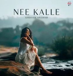 Nee Kalle Krishna Tejasvi mp3 song download, Nee Kalle Krishna Tejasvi full album mp3 song