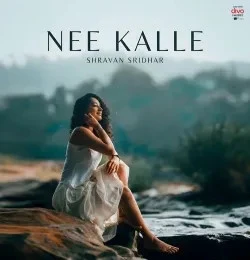 Nee Kalle Krishna Tejasvi mp3 song download, Nee Kalle Krishna Tejasvi full album mp3 song