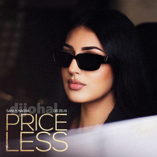 Priceless Sandy Nagra mp3 song download, Priceless Sandy Nagra full album mp3 song