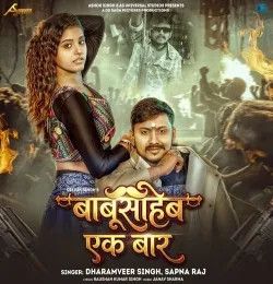 Babusaheb Ek Baar Dharamveer Singh, Sapna Raj mp3 song download, Babusaheb Ek Baar Dharamveer Singh, Sapna Raj full album mp3 song