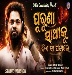 Purunaa Sathi Ku Kiye ba pachare Tiger Bibhar mp3 song download, Purunaa Sathi Ku Kiye ba pachare Tiger Bibhar full album mp3 song