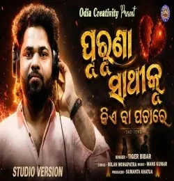 Purunaa Sathi Ku Kiye ba pachare Tiger Bibhar mp3 song download, Purunaa Sathi Ku Kiye ba pachare Tiger Bibhar full album mp3 song