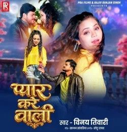 Pyar Kare Wali Vinay Tiwari mp3 song download, Pyar Kare Wali Vinay Tiwari full album mp3 song