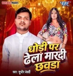 Dhodi Pe Dhela Mardi Chhawda Sudhir Bedardi mp3 song download, Dhodi Pe Dhela Mardi Chhawda Sudhir Bedardi full album mp3 song