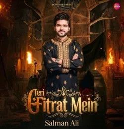 Teri Fitrat Mein Salman Ali mp3 song download, Teri Fitrat Mein Salman Ali full album mp3 song
