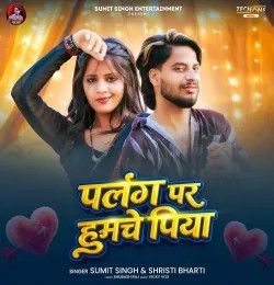 Palang Par Humche Piya Sumit Singh, Shristi Bharti mp3 song download, Palang Par Humche Piya Sumit Singh, Shristi Bharti full album mp3 song