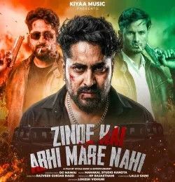 Zinde Hai Abhi Mare Nahi DG Mawai mp3 song download, Zinde Hai Abhi Mare Nahi DG Mawai full album mp3 song