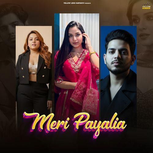Meri Payalia Anjali 99, Anil Haryanvi mp3 song download, Meri Payalia Anjali 99, Anil Haryanvi full album mp3 song