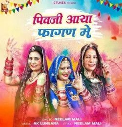 Pivji Aaya Fagan Me Neelam Mali mp3 song download, Pivji Aaya Fagan Me Neelam Mali full album mp3 song