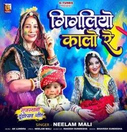 Gigaliyo Kalo Re Neelam Mali mp3 song download, Gigaliyo Kalo Re Neelam Mali full album mp3 song