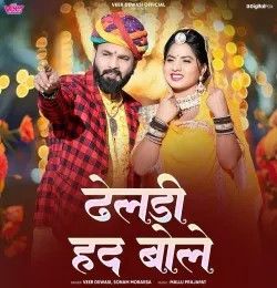 Dheldi Had Bole Veer Dewasi, Sonam Mobarsa mp3 song download, Dheldi Had Bole Veer Dewasi, Sonam Mobarsa full album mp3 song