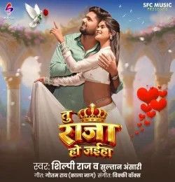 Tu Raja Ho Jaiha Shilpi Saj, Sultan Ansari mp3 song download, Tu Raja Ho Jaiha Shilpi Saj, Sultan Ansari full album mp3 song