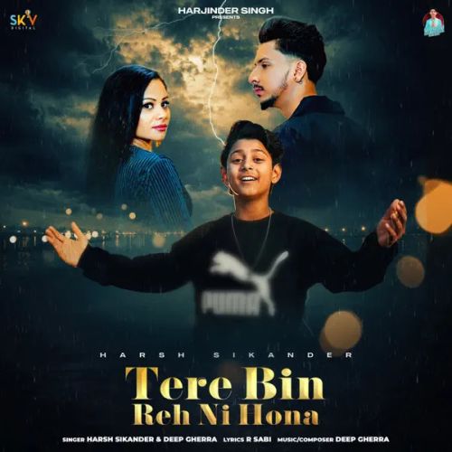 Tere Bin Reh Ni Hona Harsh Sikander mp3 song download, Tere Bin Reh Ni Hona Harsh Sikander full album mp3 song