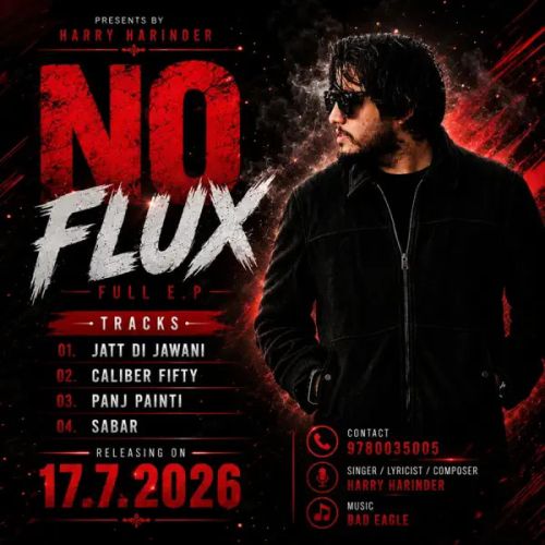 Panj Painti Harry Harinder mp3 song download, No Flux - EP Harry Harinder full album mp3 song