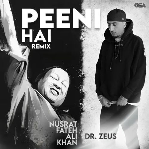 Peeni Hai Remix Nusrat Fateh Ali Khan mp3 song download, Peeni Hai Remix Nusrat Fateh Ali Khan full album mp3 song