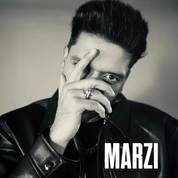Marzi Guru Randhawa mp3 song download, Marzi Guru Randhawa full album mp3 song