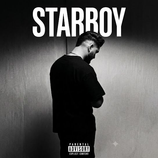 Starboy Prince Dandiwal mp3 song download, Starboy Prince Dandiwal full album mp3 song