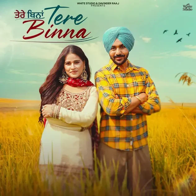 Tere Binna Gurvinder Brar, Sudesh Kumari mp3 song download, Tere Binna Gurvinder Brar, Sudesh Kumari full album mp3 song